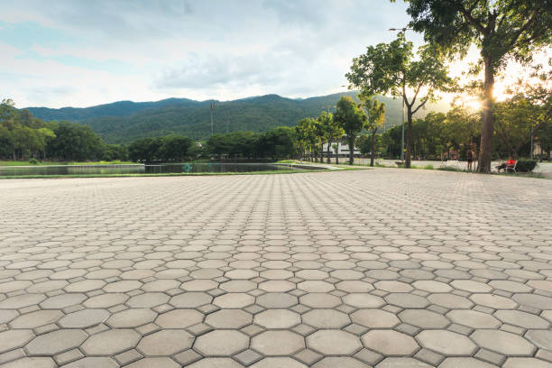Best Professional Driveway Pavers  in Roseburg Nth, OR